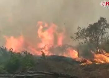 ABT propone sancionar con seis años de cárcel a quienes provoquen incendios forestales