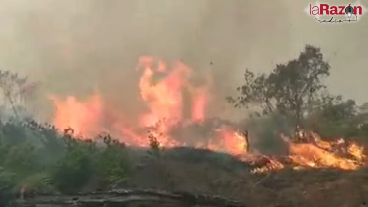 ABT propone sancionar con seis años de cárcel a quienes provoquen incendios forestales