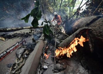 Un equipo conjunto ayuda a sofocar los incendios en los Yungas. Foto: APG