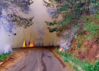 El panorama ante los incendios forestales en las reservas naturales del país. Foto: Policía Boliviana