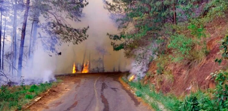 El panorama ante los incendios forestales en las reservas naturales del país. Foto: Policía Boliviana