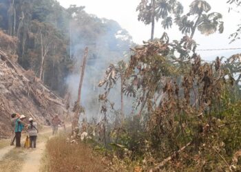 Defensa Civil reporta incendios en cuatro departamentos