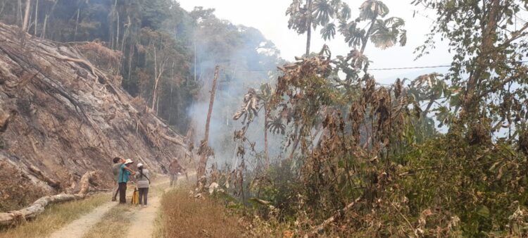 Defensa Civil reporta incendios en cuatro departamentos