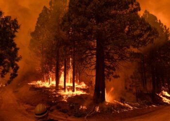 Imagen de archivo del 23 de septiembre de 2021 de un bombero observando las llamas y el humo de un incendio forestal en California (Estados Unidos). Foto: AFP.