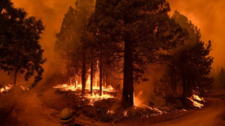 Imagen de archivo del 23 de septiembre de 2021 de un bombero observando las llamas y el humo de un incendio forestal en California (Estados Unidos). Foto: AFP.