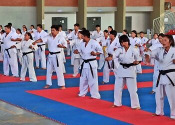 campamento_entrenamiento_karate_positivo