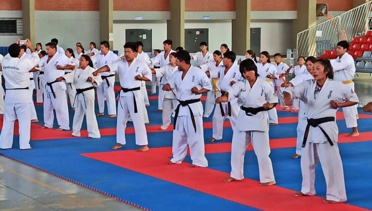 campamento_entrenamiento_karate_positivo