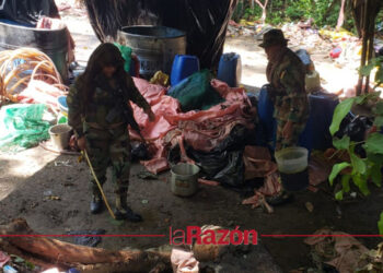 Tras denuncia de Morales, FELCN destruye cuatro laboratorios de droga en el Trópico