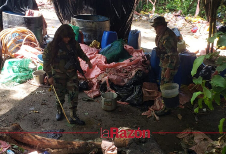 Tras denuncia de Morales, FELCN destruye cuatro laboratorios de droga en el Trópico