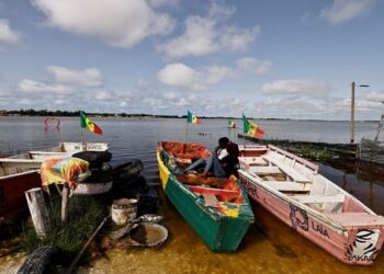 Después de días de lluvias torrenciales, el minero de sal Moussa Diare solo pudo ver con desesperación cómo las aguas de la inundación abrían una brecha de un metro de ancho en las orillas del Lago Rosa de Senegal y arrastraba miles de dólares en montículos de sal que había reunido. Foto: AFP.