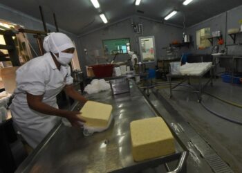 Agropecuarios registran pérdida superior a $us 22 millones por el paro en Santa Cruz