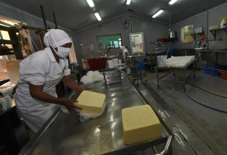 Agropecuarios registran pérdida superior a $us 22 millones por el paro en Santa Cruz