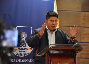 Loza aclara que la ley del Censo fue sancionada por CC y Creemos, y parte del MAS