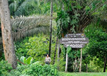 Gobierno promueve Rurrenabaque-Madidi-Pampas como atractivo turístico