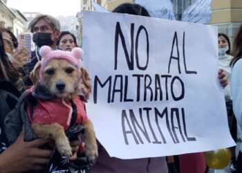 Activistas de ciudades piden justicia por biocidios
