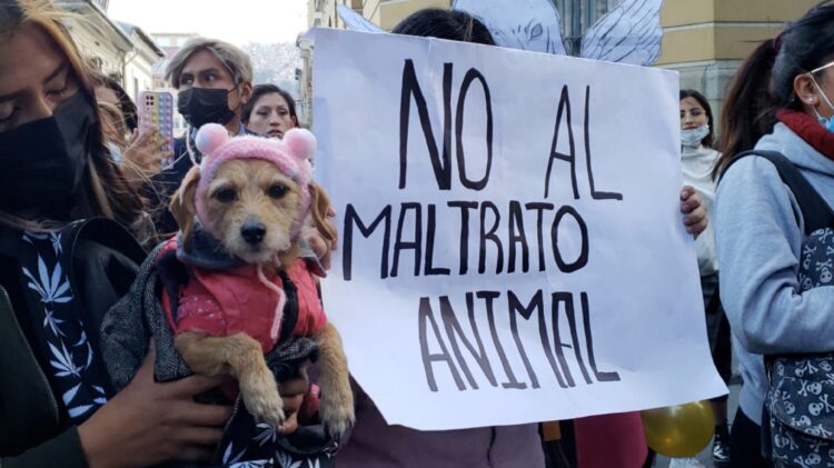 Activistas de ciudades piden justicia por biocidios