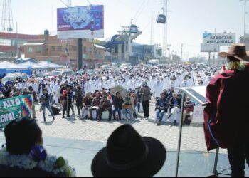 Mil brigadas salen en El Alto para vacunar y detectar casos sospechosos de coqueluche