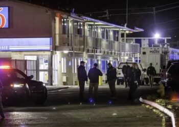 Al menos nueve personas han muerto y dos han resultado heridas tras un tiroteo en un bar en la ciudad de Guanajato.