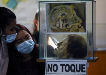 El punto culminante de la visita, en el Museo del Ser Humano en Colombia.