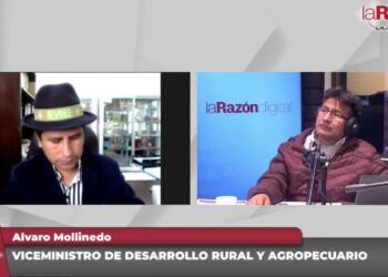 Gobierno garantiza mayor oferta de papa a precio justo y se alistan nuevas ferias
