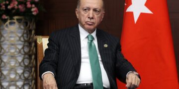 La ONU dice que la nueva ley contra desinformación en Turquía deja la puerta abierta a un ‘abuso arbitrario’