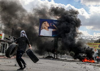 Genocidio de Palestina. Naciones Unidas Israel