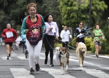 ‘Perritos en fuga’, la carrera canina en Ciudad de México