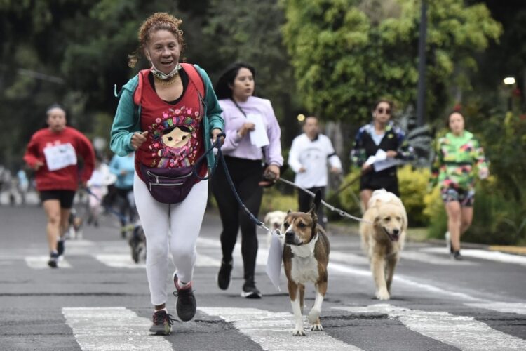‘Perritos en fuga’, la carrera canina en Ciudad de México