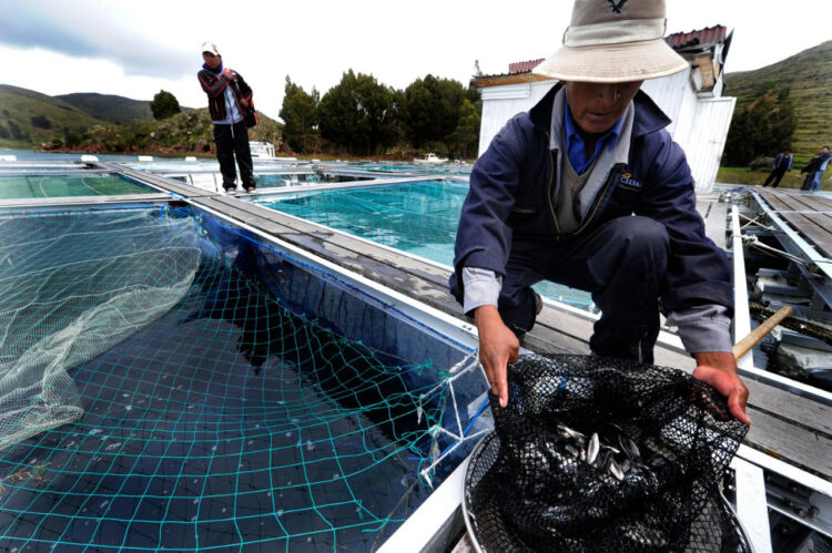 El Gobierno prevé ejecutar Bs 265 millones para potenciar la producción piscícola