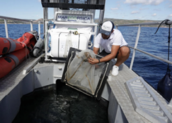 El capitán del barco Marecorsica, Bilal El Ouardani, revisa el plástico recogido del mar Mediterráneo en una red en el golfo de San Amanza, en la isla francesa de Córcega, el 2 de octubre de 2022. Foto: AFP.
