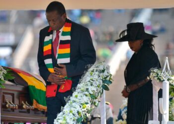 El presidente de Zimbabue recibe el apoyo de su partido para postularse a la Presidencia en 2023