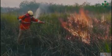 Quemas agrícolas consumieron un millón de hectáreas en Bolivia