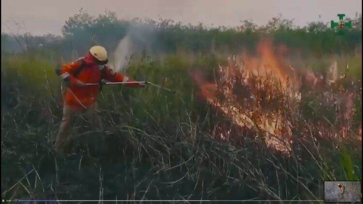 Quemas agrícolas consumieron un millón de hectáreas en Bolivia