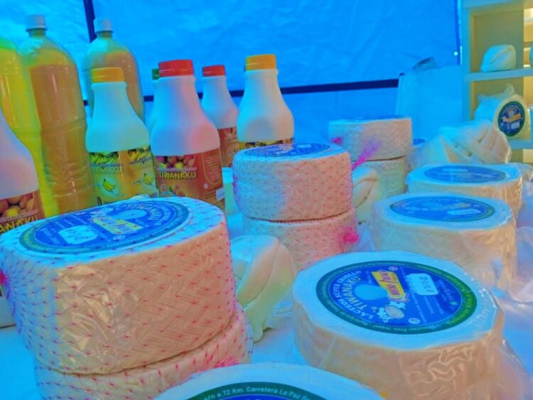 Los distritos rurales 9 y 11, de El Alto, son los mayores productores de leche. Foto: Isabel Moreno