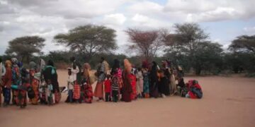 MSF advierte de un incremento de las llegadas a los campos de refugiados somalíes de Dabaab, en Kenia