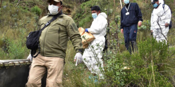 Hallan otras partes del cuerpo de Dylan y aún se desconoce la causa de su muerte