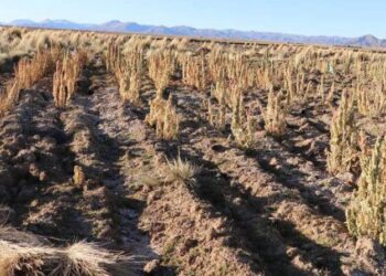 Debido a la falta de lluvias y la escasez de agua, campesinos pidieron a las autoridades la creación de nubes artificiales en provincias.