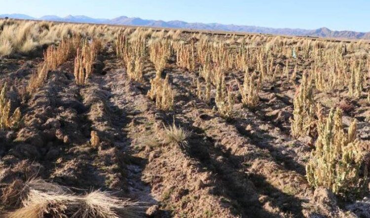 Debido a la falta de lluvias y la escasez de agua, campesinos pidieron a las autoridades la creación de nubes artificiales en provincias.