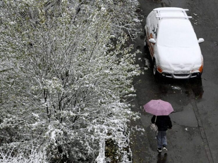 Una mujer camina en la ciudad ucraniana de Leópolis, tras caer la primera nevada en el terrotorio ucraniano. Foto: AFP.