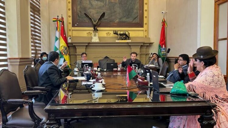 Dulón califica el accionar de algunos concejales como 'doble discurso'. Concejo aprueba ordenanza 046. Foto: Concejo de La Paz