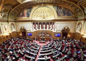 El Senado francés rechaza un primer proyecto de ley para reforzar el derecho al aborto en la Constitución