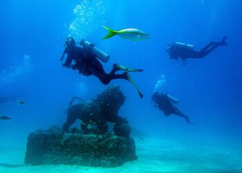 En el trayecto se cruzan con bancos de peces coloridos y una raya, al llegar al fondo observan las columnas y los arcos.