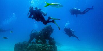 En el trayecto se cruzan con bancos de peces coloridos y una raya, al llegar al fondo observan las columnas y los arcos.