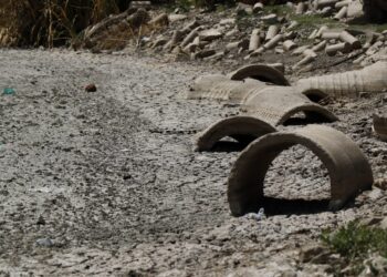 El Gobierno reporta 38 municipios afectados por efectos climáticos