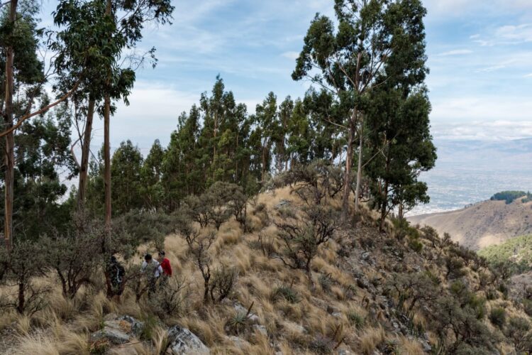 Carrera por Montaña 2022