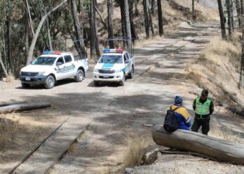 Aprehenden a un sospechoso de causar incendios en el Bosquecillo de Pura Pura