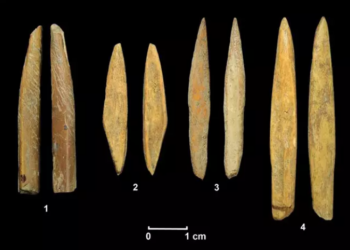 En Sri Lanka, los proyectiles de piedra ayudaron a los recolectores a ocupar las selvas tropicales. Foto: Universidad de Griffith.