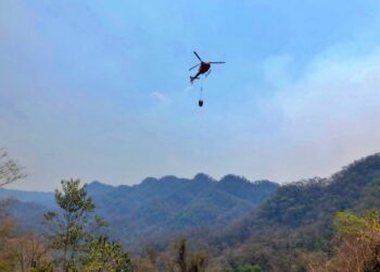 El departamento de Tarija fue declarado libre de incendios