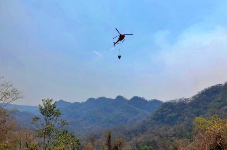El departamento de Tarija fue declarado libre de incendios