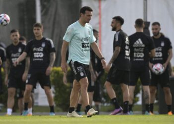 el técnico argentino lionel scaloni
